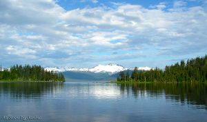 2n-Kayaking in Prince William Sound.jpg